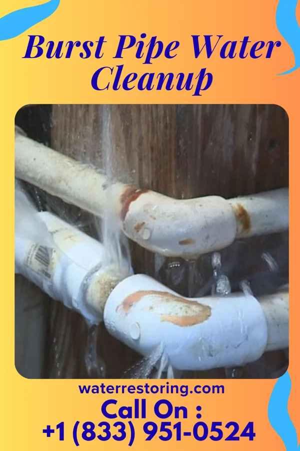 Burst Pipe Water Cleanup in Ewa Gentry, HI