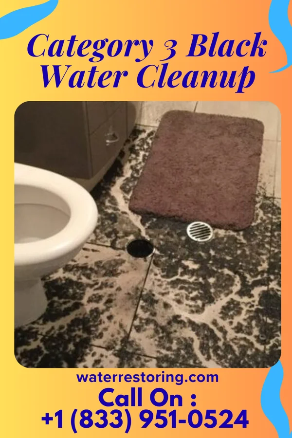 Category 3 Black Water Cleanup in Ewa Gentry, HI