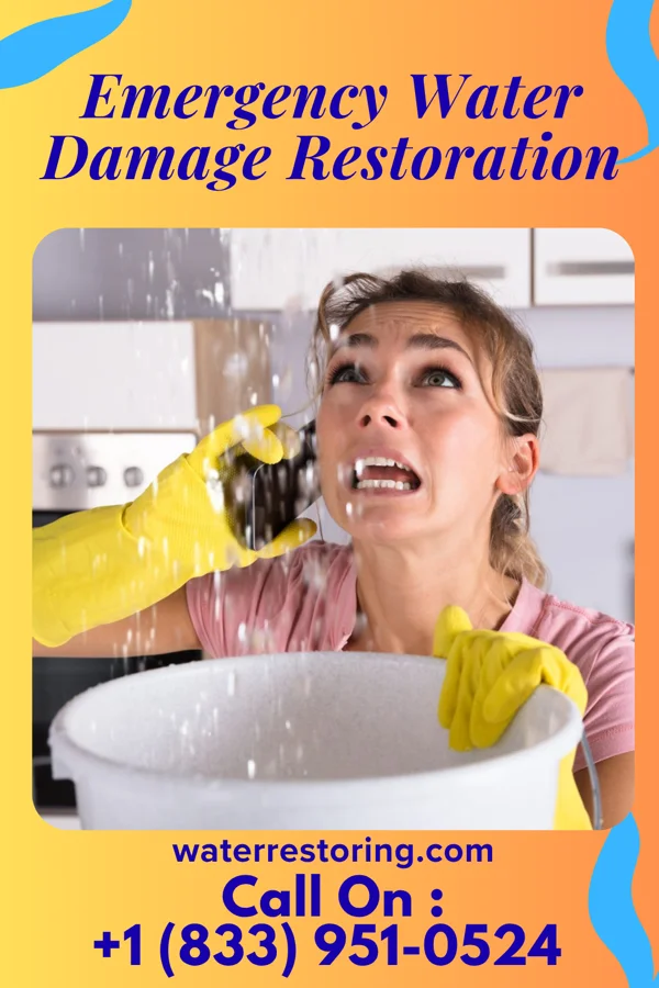 Emergency Water Damage Restoration in Ewa Gentry, HI