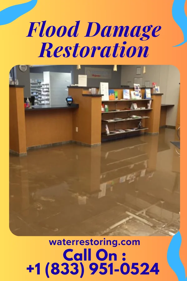 Flood Damage Restoration in Ewa Gentry, HI