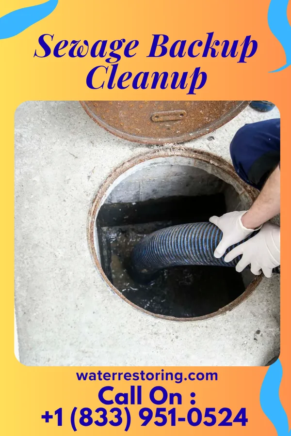 Sewage Backup Cleanup in Ewa Gentry, HI