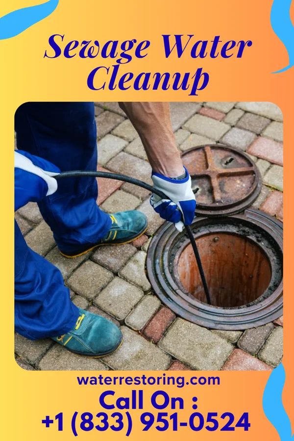Sewage Water Cleanup in Ewa Gentry, HI