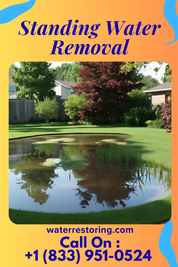Standing Water Removal in Ewa Gentry, HI